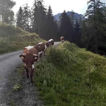 Reithgut Apartament Sankt Martin am Tennengebirge