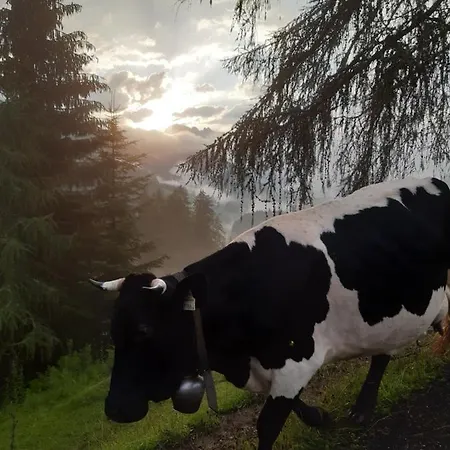 Reithgut Apartament *