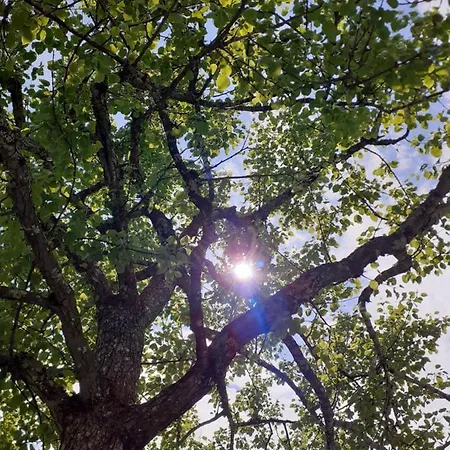 Reithgut * Sankt Martin am Tennengebirge