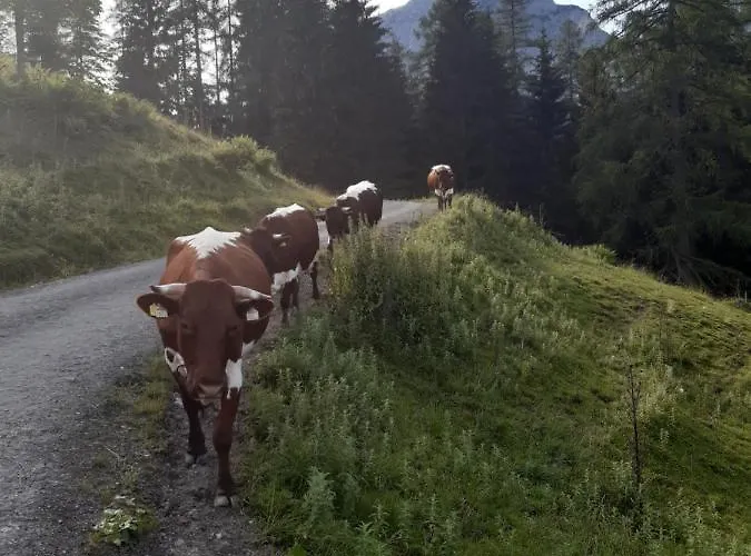 Reithgut Lägenhet Sankt Martin am Tennengebirge
