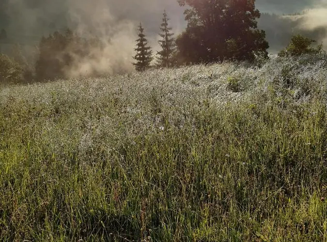 Reithgut Sankt Martin am Tennengebirge